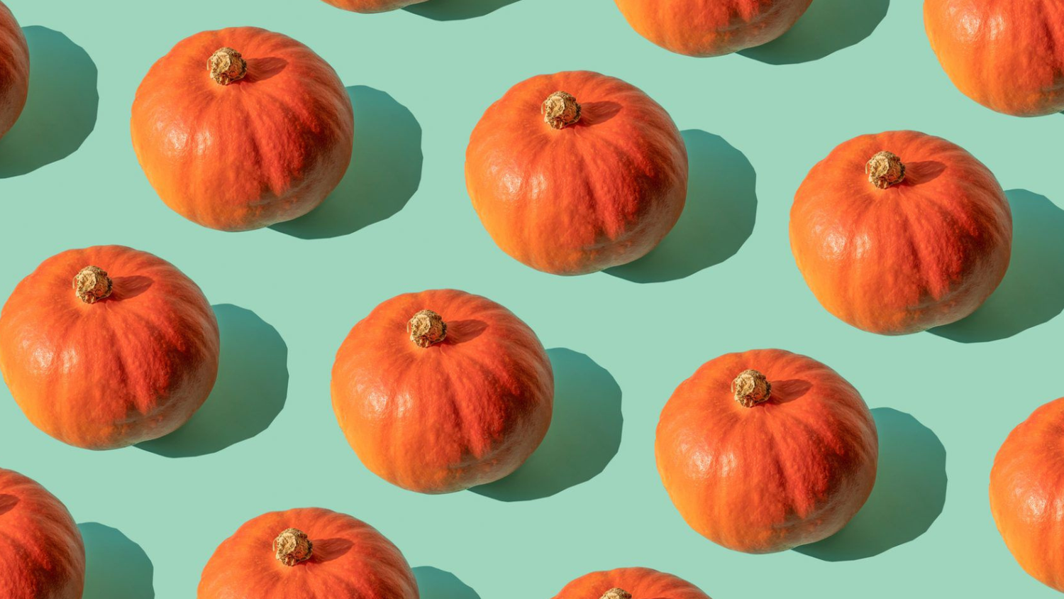 Canned Pumpkin Actually Is Pumpkin—but Not the Kind You Think