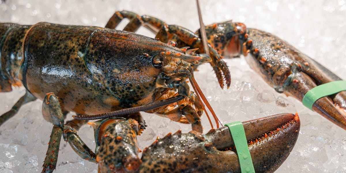 A $400,000 Shipment Of Lobster Bound For Costco Just Vanished