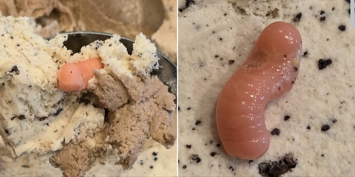 Hudsonville Dirt Cake Ice Cream’s Worms Are Freaking People Out