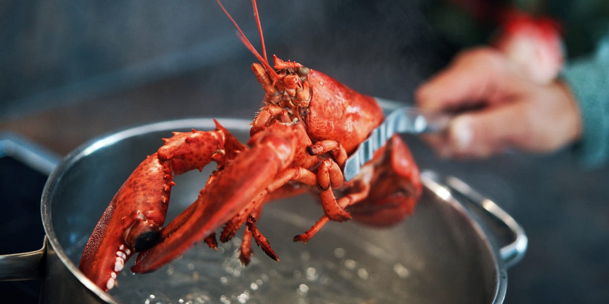New Lobster Study Could Change How We Cook Them Forever
